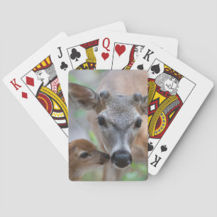 Kutest Baby Animals   Belangrijke deer Stag & Fawn Pokerkaarten