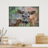 Kutest Baby Animals | Belangrijke deer Stag & Fawn Poster (Keuken)