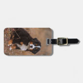Kutest Baby Animals | Bernese Mountain Dog Bagagelabel (Voorkant horizontaal)