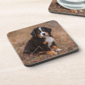 Kutest Baby Animals | Bernese Mountain Dog Bier Onderzetter (Linkerzijde)