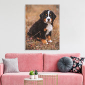 Kutest Baby Animals | Bernese Mountain Dog Canvas Afdruk (Insitu (Woonkamer))