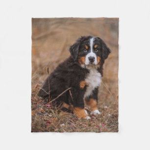Kutest Baby Animals   Bernese Mountain Dog Fleece Deken