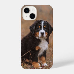 Kutest Baby Animals   Bernese Mountain Dog iPhone 14 Hoesje
