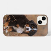Kutest Baby Animals | Bernese Mountain Dog iPhone Hoesje (Achterkant horizontaal)