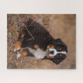 Kutest Baby Animals | Bernese Mountain Dog Legpuzzel (Horizontaal)