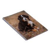 Kutest Baby Animals | Bernese Mountain Dog Notitieboek (Rechterzijde)