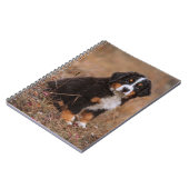 Kutest Baby Animals | Bernese Mountain Dog Notitieboek (Linkerzijde)