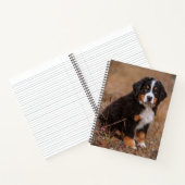 Kutest Baby Animals | Bernese Mountain Dog Notitieboek (Binnen)