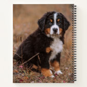 Kutest Baby Animals | Bernese Mountain Dog Notitieboek (Achterkant)