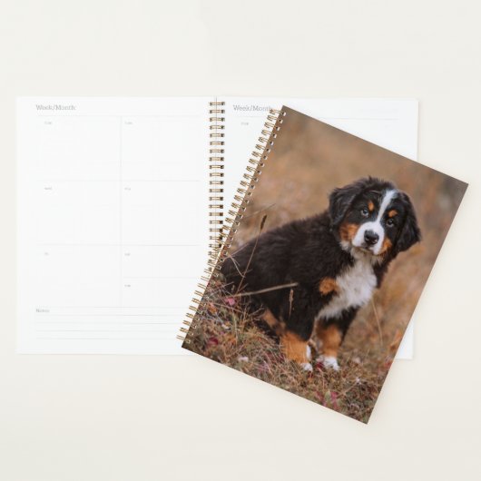 Kutest Baby Animals | Bernese Mountain Dog Planner (Display)