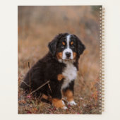Kutest Baby Animals | Bernese Mountain Dog Planner (Achterkant)