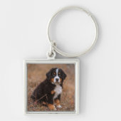 Kutest Baby Animals | Bernese Mountain Dog Sleutelhanger (Voorkant)