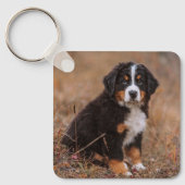 Kutest Baby Animals | Bernese Mountain Dog Sleutelhanger (Voorkant)
