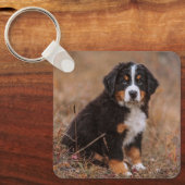 Kutest Baby Animals | Bernese Mountain Dog Sleutelhanger (Voorkant)