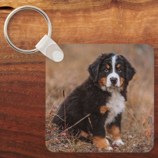Kutest Baby Animals | Bernese Mountain Dog Sleutelhanger (Voorkant)