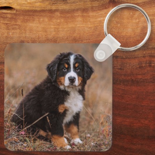 Kutest Baby Animals | Bernese Mountain Dog Sleutelhanger (Achterkant)