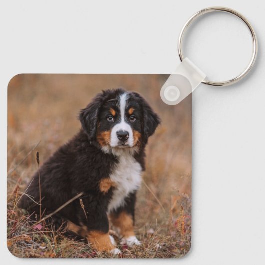Kutest Baby Animals | Bernese Mountain Dog Sleutelhanger (Achterkant)