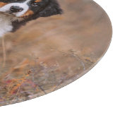 Kutest Baby Animals | Bernese Mountain Dog Snijplank (Hoek)