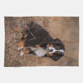 Kutest Baby Animals | Bernese Mountain Dog Theedoek (Horizontaal)