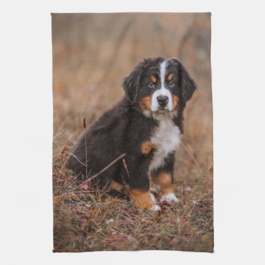 Kutest Baby Animals | Bernese Mountain Dog Theedoek (Verticaal)
