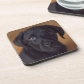 Kutest Baby Animals | Black Labrador Puppy Bier Onderzetter (Linkerzijde)
