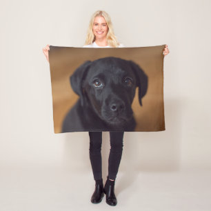 Kutest Baby Animals Black Labrador Puppy Fleece Deken