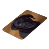 Kutest Baby Animals | Black Labrador Puppy Magneet (Linkerzijde)