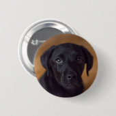 Kutest Baby Animals | Black Labrador Puppy Ronde Button 5,7 Cm (Voorkant /achterkant)