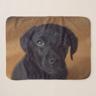 Kutest Baby Animals Black Labrador Puppy Sherpa Deken