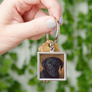 Kutest Baby Animals Black Labrador Puppy Sleutelhanger