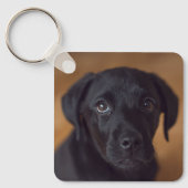 Kutest Baby Animals | Black Labrador Puppy Sleutelhanger (Voorkant)