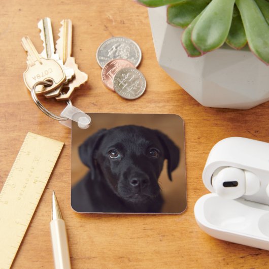 Kutest Baby Animals | Black Labrador Puppy Sleutelhanger (Bureau)