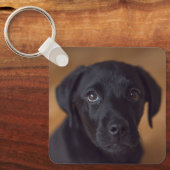 Kutest Baby Animals | Black Labrador Puppy Sleutelhanger (Voorkant)