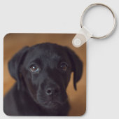 Kutest Baby Animals | Black Labrador Puppy Sleutelhanger (Achterkant)