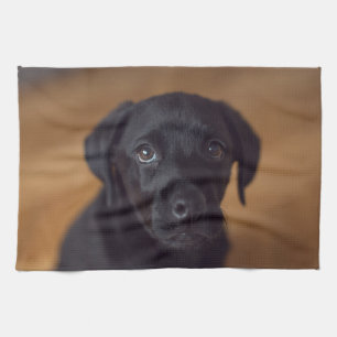 Kutest Baby Animals Black Labrador Puppy Theedoek