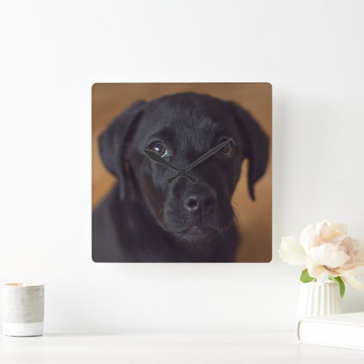 Kutest Baby Animals | Black Labrador Puppy Vierkante Klok (Huis)