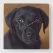 Kutest Baby Animals | Black Labrador Puppy Vierkante Klok (Voorkant)