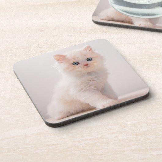 Kutest Baby Animals | Blue Eye Kitten Bier Onderzetter (Linkerzijde)