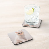 Kutest Baby Animals | Blue Eye Kitten Bier Onderzetter (Rechterzijde)