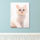 Kutest Baby Animals | Blue Eye Kitten Canvas Afdruk (Insitu (Houten vloer))