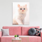 Kutest Baby Animals | Blue Eye Kitten Canvas Afdruk (Insitu (Woonkamer))