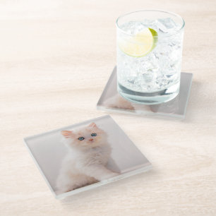 Kutest Baby Animals   Blue Eye Kitten Glazen Onderzetter