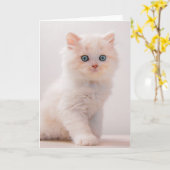Kutest Baby Animals | Blue Eye Kitten Kaart (Gele Bloem)