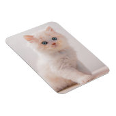 Kutest Baby Animals | Blue Eye Kitten Magneet (Rechterzijde)