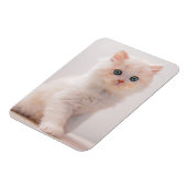 Kutest Baby Animals | Blue Eye Kitten Magneet (Linkerzijde)