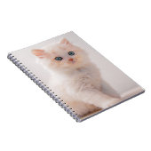Kutest Baby Animals | Blue Eye Kitten Notitieboek (Rechterzijde)