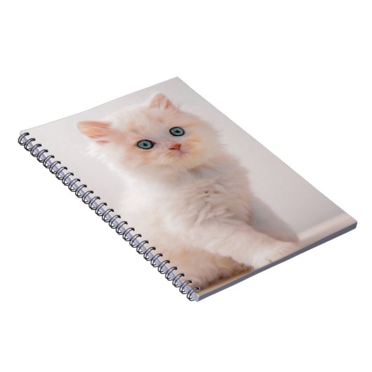 Kutest Baby Animals | Blue Eye Kitten Notitieboek (Rechterzijde)