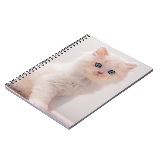 Kutest Baby Animals | Blue Eye Kitten Notitieboek (Linkerzijde)