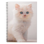 Kutest Baby Animals | Blue Eye Kitten Notitieboek (Voorkant)