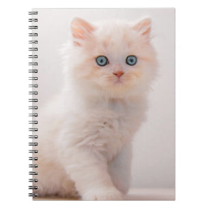 Kutest Baby Animals   Blue Eye Kitten Notitieboek